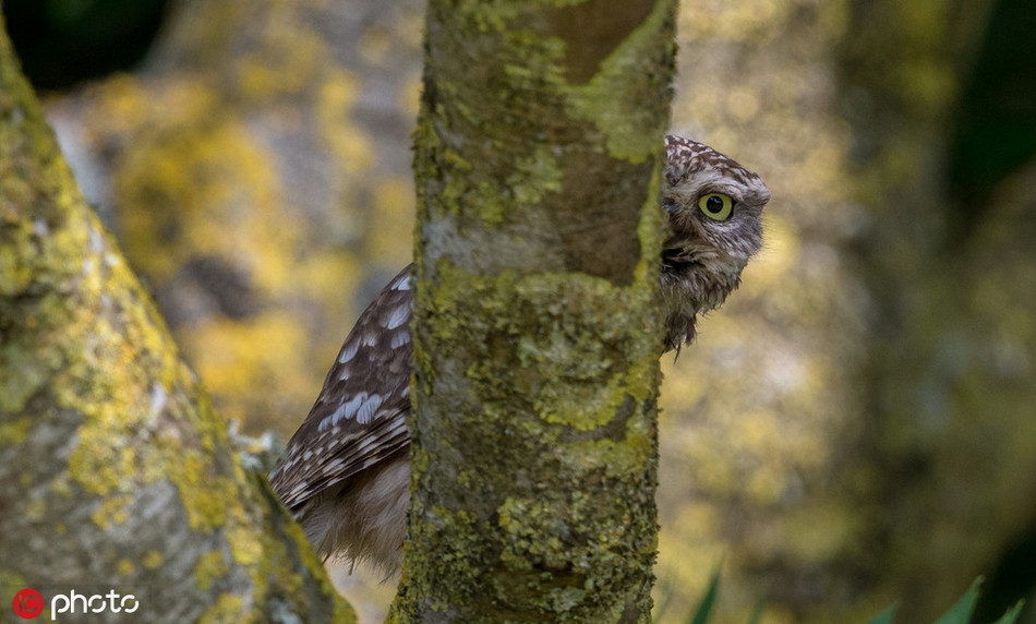 Chet cuoi cu nho han hoan choi tron tim voi nhiep anh gia