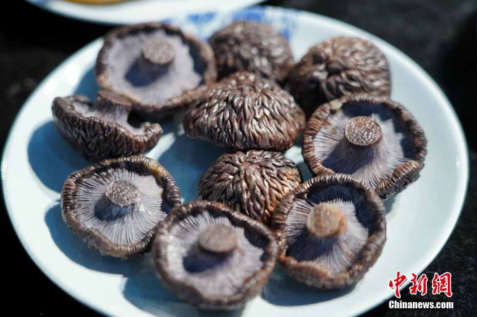 Nhiều người cho biết, những hòn đá này thực sự hoàn mỹ, sáng bóng, mô phỏng hoàn hảo từng chi tiết của các món ăn, cực kỳ chân thật.