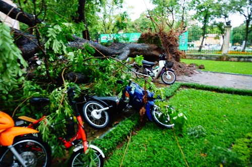 12. 1 người chết, 5 người bị thương trong mưa giông bất ngờ ở Hà Nội Khoảng 16h30 ngày 13/6, một cơn dông lớn đã xuất hiện tại Hà Nội gây mưa to, gió lốc. Mưa giông bất ngờ khiến 1 người chết và 3 người bị thương do sự cố đổ cây khu vực đường Nguyễn Du. Còn trên đường Phạm Hùng, biển quảng cáo bị gió giật đổ rơi xuống lòng đường trên phố cũng khiến 2 người đi xe máy bị thương.