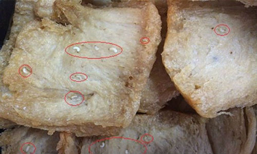 4. Kinh hãi giòi bò lúc nhúc trong đồ ăn chay của hàng trăm công nhân Ngày 10/6, khi chế biến đồ ăn chay cho gần 300 phần ăn của công nhân, chị Nguyễn Thị Hoa (39 tuổi, quê Hà Nội) kinh hoàng phát hiện có rất nhiều con giòi bò lúc nhúc trong đồ ăn. Ngay sau đó, chị Hoa đã làm đơn và gửi những thực phẩm có nhiều giòi bọ đến Hội bảo vệ quyền lợi người tiêu dùng Bình Dương để khiếu nại về việc thực phẩm chay mua ở tiệm tạp hóa có nhiều giòi bọ.