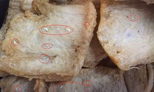 4. Kinh hãi giòi bò lúc nhúc trong đồ ăn chay của hàng trăm công nhân Ngày 10/6, khi chế biến đồ ăn chay cho gần 300 phần ăn của công nhân, chị Nguyễn Thị Hoa (39 tuổi, quê Hà Nội) kinh hoàng phát hiện có rất nhiều con giòi bò lúc nhúc trong đồ ăn. Ngay sau đó, chị Hoa đã làm đơn và gửi những thực phẩm có nhiều giòi bọ đến Hội bảo vệ quyền lợi người tiêu dùng Bình Dương để khiếu nại về việc thực phẩm chay mua ở tiệm tạp hóa có nhiều giòi bọ.