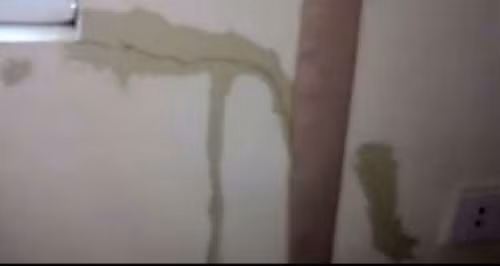 Vua khanh thanh, nha o xa hoi Ecohome da hoa song-Hinh-4