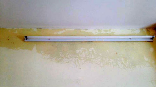 Vua khanh thanh, nha o xa hoi Ecohome da hoa song-Hinh-6