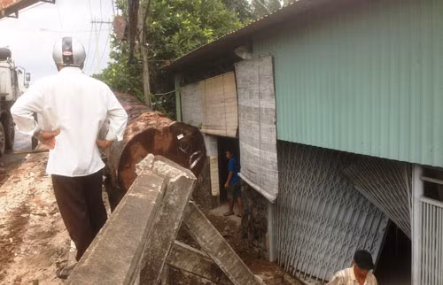 Xe cho go gay tai nan: Cu ba om chau chay thoat than-Hinh-6