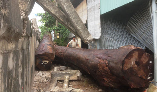 Xe cho go dut day, go roi de sap nha dan-Hinh-4