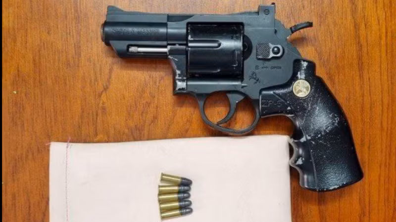 Đến ngày 26/4, Phòng Cảnh sát hình sự tiếp tục phối hợp Công an TP Biên Hoà triệu tập đối tượng Danh Sơn lên làm việc. Lần này, dưới sự chỉ đạo trực tiếp của lãnh đạo Công an tỉnh Đồng Nai, lực lượng phá án sử dụng các biện nghiệp vụ kết hợp những tài liệu chứng cứ thu thập được khiến Sơn không thể chối cãi được nữa, đã khai nhận hành vi giết chị N. Khám xét nơi ở và nơi làm việc của Sơn, công an thu giữ 1 khẩu súng dạng Rulo có 5 viên đạn và 2 chiếc nhẫn nghi của nạn nhân.