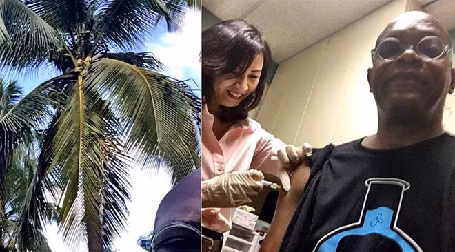 Ro tin sao King Kong da co mat o Viet Nam