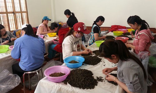 DN Ha Thuy Linh chet tai Trung Quoc: Vu an rat phuc tap