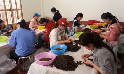 DN Ha Thuy Linh chet tai Trung Quoc: Vu an rat phuc tap