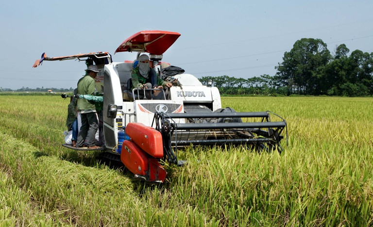 Phần kinh phí còn lại để thực hiện các việc gồm phân tích chất lượng hóa, lý tính của các vùng đất chuyên trồng lúa nước có năng suất, chất lượng cao định kỳ 10 năm để sử dụng hiệu quả và có biện pháp cải tạo phù hợp… Thông tư này có hiệu lực thi hành kể từ ngày 20/2/2023. (Ảnh minh họa) 