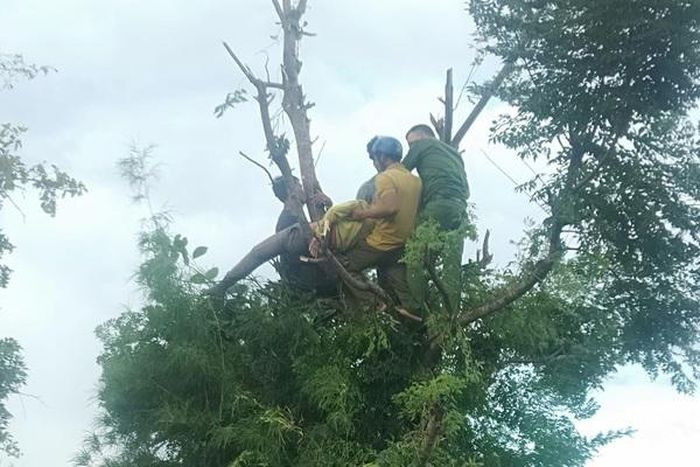  Người phụ nữ bị điện giật tử vong mắc kẹt trên cành cây: Ngày 12/7, UBND xã Ea Wer (huyện Buôn Đôn, Đắk Lắk) cho biết, chiều 11/7, chị H.M (trú tại buôn Tul B, xã EaWer) cùng em gái đi hái lá cho dê ăn. Lúc này, chị M. trèo lên cây cao để chặt lá vô tình vướng vào đường dây điện khiến chị bị điện giật nằm ngất lịm trên cành cây. Người em gái kêu cứu, nhưng khi người dân có mặt ở hiện trường thì chị M. đã tử vong.