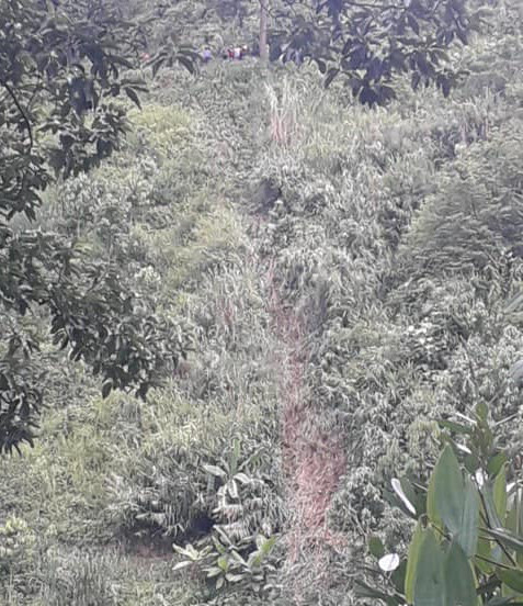 Theo thông tin từ người dân, chiếc xe ô tô bán tải trên đang di chuyển trên tuyến tỉnh lộ 128 thì bất ngờ lao xuống vực sâu hàng trăm mét dẫn đến tai nạn thương tâm. 