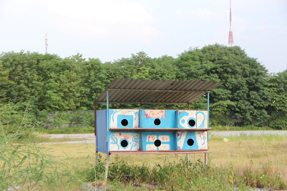 Đến tháng 3/2020, toàn bộ các hạng mục của trường đua F1 cơ bản đã được hoàn thiện để chờ ngày khai mạc giải đua xe công thức 1 tại Hà Nội. 