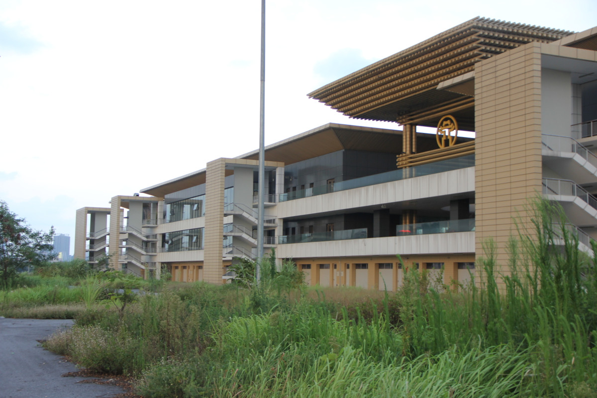 Cũng qua ghi nhận của PV, khung cảnh trong trường đua F1 do đã bị bỏ hoang một thời gian nên cây cối, cỏ mọc um tùm.