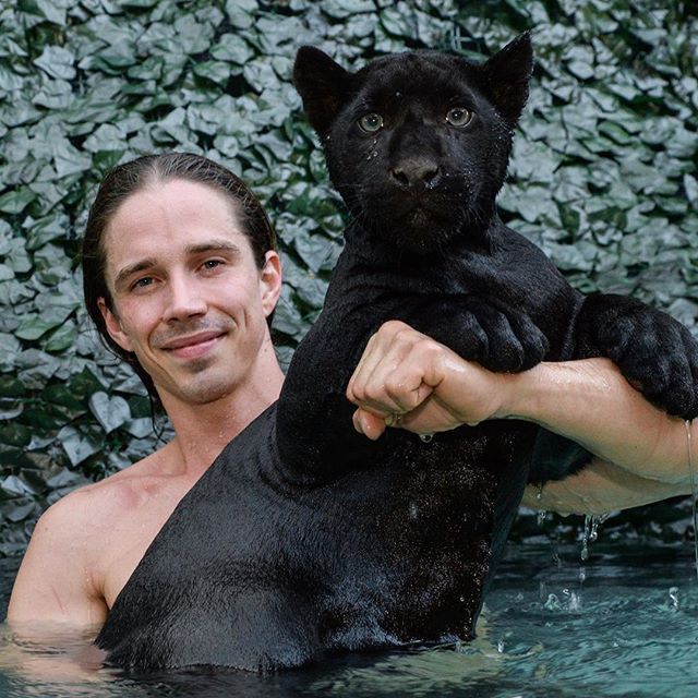 Hiện tại, Kody kế thừa sự nghiệp của cha, làm việc tại khu bảo tồn động vật, phụ trách chăm sóc những động vật hoang dã không nơi nương tựa.