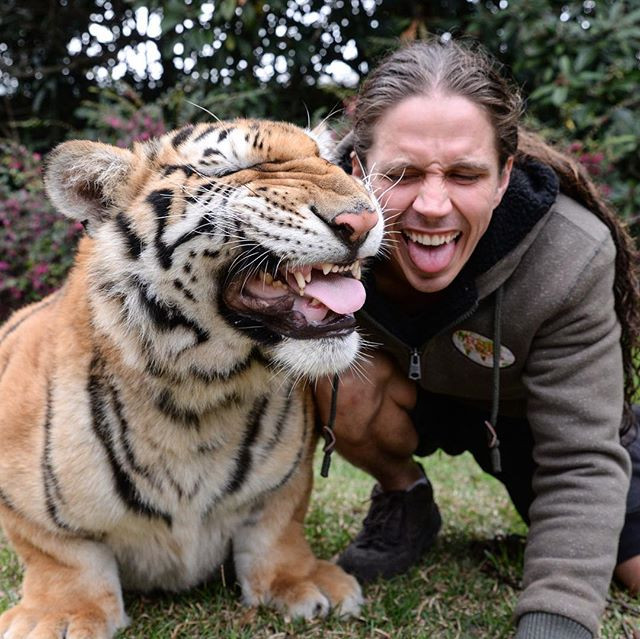 Mưa dầm thấm lâu, Kody cũng giống cha, yêu động vật từ nhỏ, cậu chơi đùa với những con hổ, sư tử, tinh tinh, báo đốm, báo đen mà không gặp bất cứ trở ngại nào.