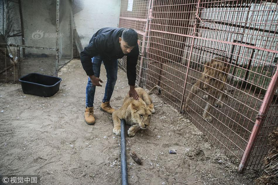 Những con vật khác như chó sói, khỉ đầu chó, báo hoa mai... cũng đều sống trong những chiếc lồng chật hẹp, bẩn thỉu, hoàn toàn không có chăm sóc y tế. Khi được phát hiện, tất cả đều ở trong tình trạng tồi tệ.