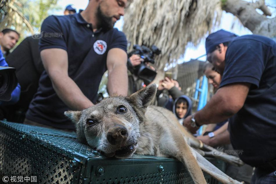 Theo các nhân viên của tổ chức từ thiện, vườn thú này từ lâu đã thiếu vốn để hoạt động. Điều kiện sống của những con vật nơi đây vô cùng tồi tàn.