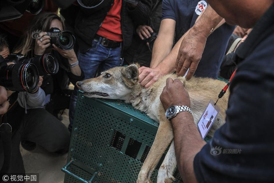 Cảnh tượng trong vườn thú địa phương này có thể nói là chẳng khác nào vườn thú địa ngục. Nhiều động vật bị bỏ đói, ngược đãi đến gầy rộc, mất hết tinh thần.