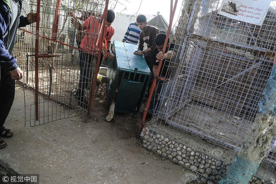 Được cứu thoát, những con vật này vẫn vô cùng sợ hãi con người. Chúng cố gắng phản kháng nhưng vì quá yếu sức, đa số đều dễ dàng bị khống chế.