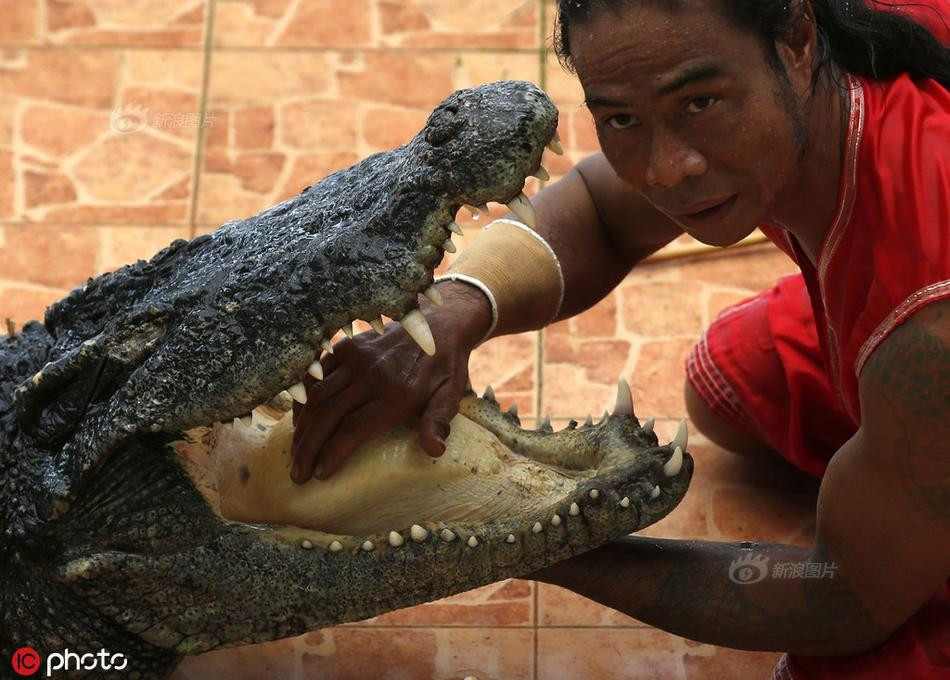 Chỉ cần có sai sót nhỏ, những diễn viên xiếc này sẽ phải trả giá bằng những thương tật vĩnh viễn, thậm chí là cả mạng sống của mình.