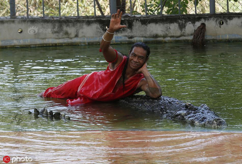 Theo thông tin đăng tải, các diễn viên tham gia biểu diễn với cá sấu đều đã rất quen thuộc với những con cá sấu khổng lồ được nuôi trong khu riêng biệt. Họ có thể tương tác với cá sấu theo cách mà người bình thường không thể.