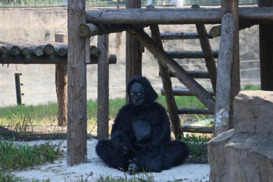 Cho con di so thu, cha me het hon voi khi dot 