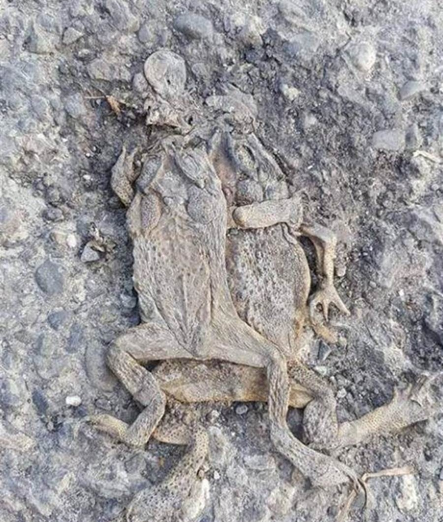 Hy huu cap doi coc uyen uong than mat, thi bat ngo...-Hinh-2