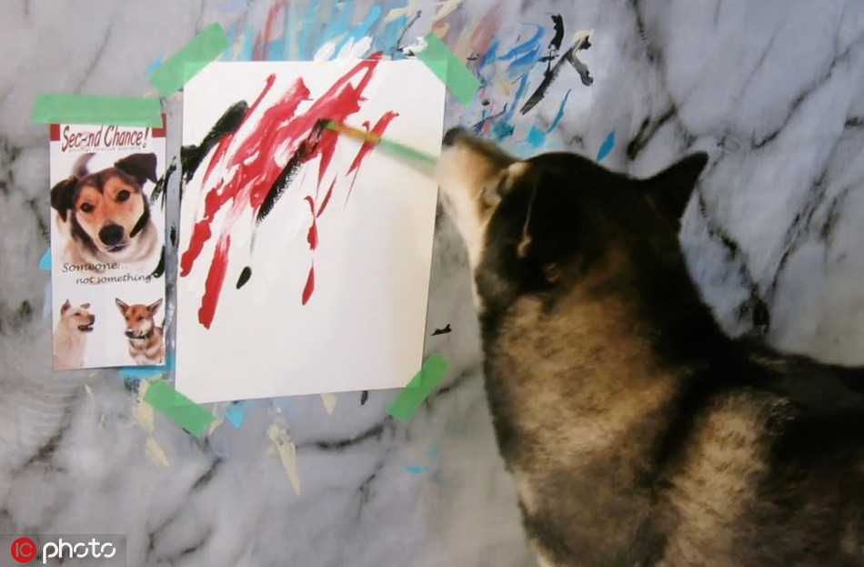 Sử dụng răng để cầm bút, những nét vẽ của Hunter chỉ đơn giản là những vệt màu đủ sắc trên tấm vải bạt nhỏ nhắn, xinh xắn.