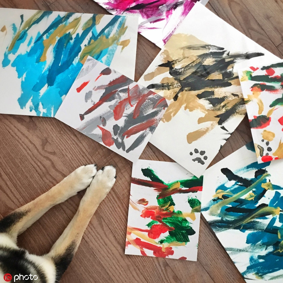 Theo chủ nhân của Hunter, chú chó cưng của anh thuộc giống Shinu Iba, rất thông minh. Chú ta được học vẽ dưới sự hướng dẫn của hai bậc thầy về hội họa là Kenny Au và Denise Lo.