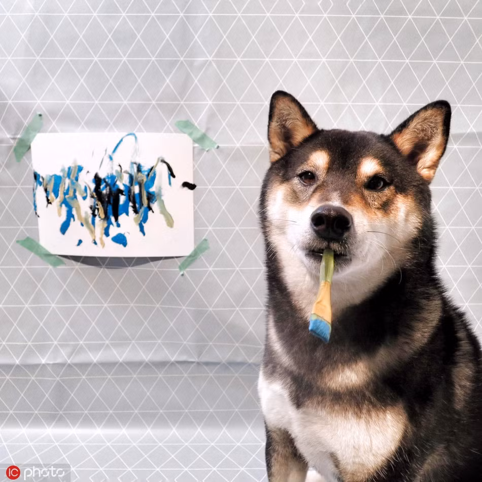 Có tài lại có sắc, không chỉ thông minh còn biết vẽ tranh kiếm tiền, Hunter có thể nói là một con chó cưng vô cùng ưu tú.