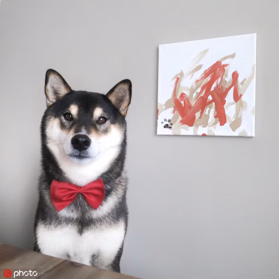 Những bức tranh của Hunter đều rất được yêu thích, hoan nghênh. Đến nay, chú chó họa sĩ này đã bán ra được hơn 150 tác phẩm, kiếm được vài ngàn đô la.