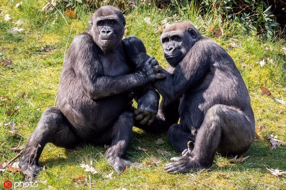 Hai huoc tinh nhan khi dot cuoi pha “choc que” nhiep anh gia-Hinh-2