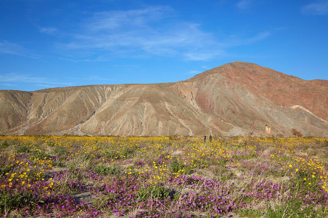Giữa trưa có thể nóng tới hơn 40 độ C nhưng đêm xuống chỉ còn chưa tới 10 độ C. Mùa đông và mùa hè cũng như vậy, nắng thì như thiêu như đốt, lạnh thì buốt tim buốt gan, vô cùng khắc nghiệt.