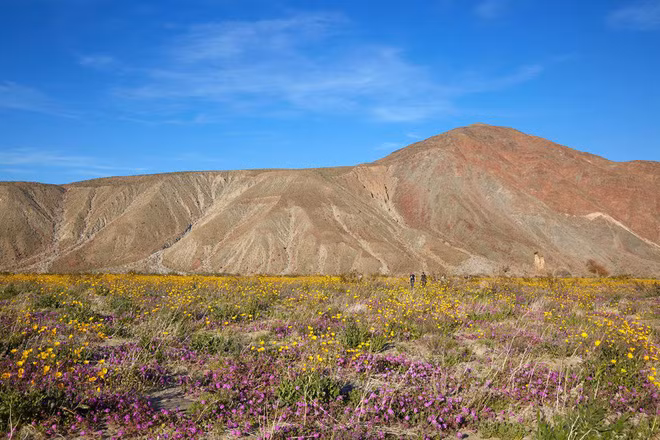 Giữa trưa có thể nóng tới hơn 40 độ C nhưng đêm xuống chỉ còn chưa tới 10 độ C. Mùa đông và mùa hè cũng như vậy, nắng thì như thiêu như đốt, lạnh thì buốt tim buốt gan, vô cùng khắc nghiệt.