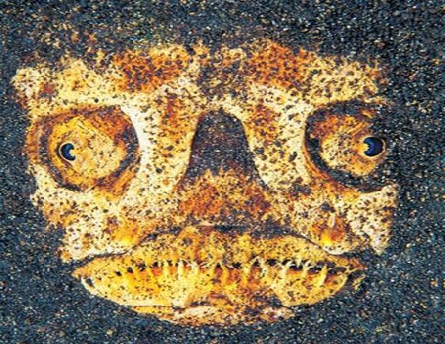 Di dao, cap vo chong phat hien 