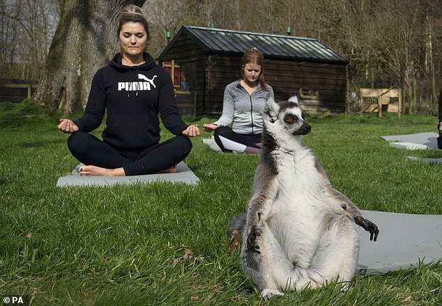 Vuon cao tap Yoga cung nguoi, tu the chuan xung bac thay-Hinh-5