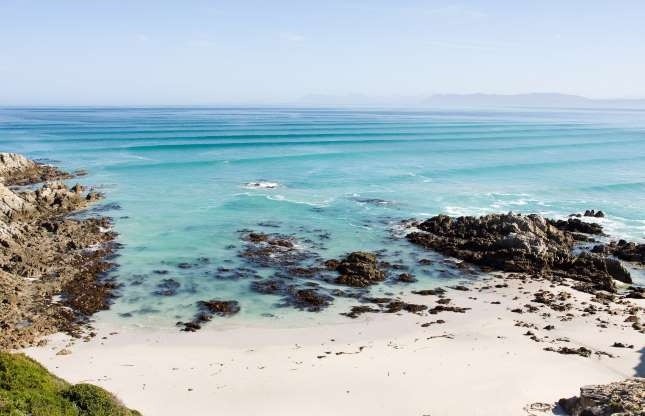 Gansbaai – Nam Phi. Bãi biển phía nam Cape Town này là địa bàn cá mập trắng lớn. Những con hải cẩu lông Cape sống trên đảo Dyer cũng thu hút những kẻ săn mồi đến nơi đây.