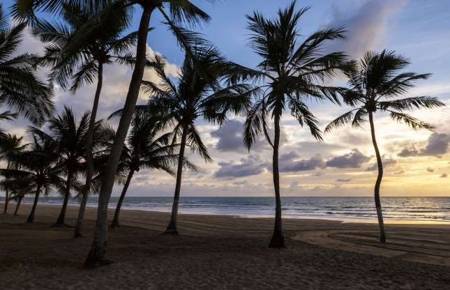 Praia da Boa Viagem - Recife, Brazil. Bãi biển này chiếm tỷ lệ tử vong nhiều nhất thế giới do cá mập tấn công. Từ năm 1992 đến này đã có ít nhất 56 người chết do cá mập. Một trong những lý do khiến cá mập đến vùng biển này lớn do một tuyến đường di cư cách bờ biển gần 1km.