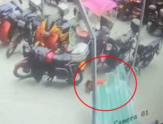 Roi tu tang 26 xuong, be gai song sot nhu phep mau-Hinh-2