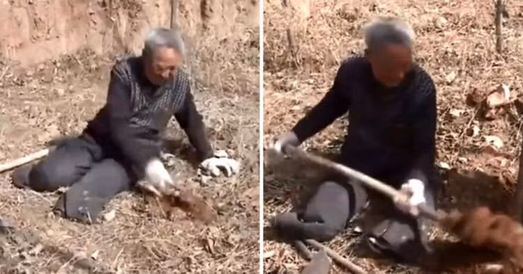 Kho tin nguoi dan ong cut hai chan lam dieu ai cung phuc