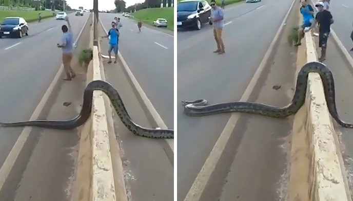 Khong ngan con nguoi, tran 