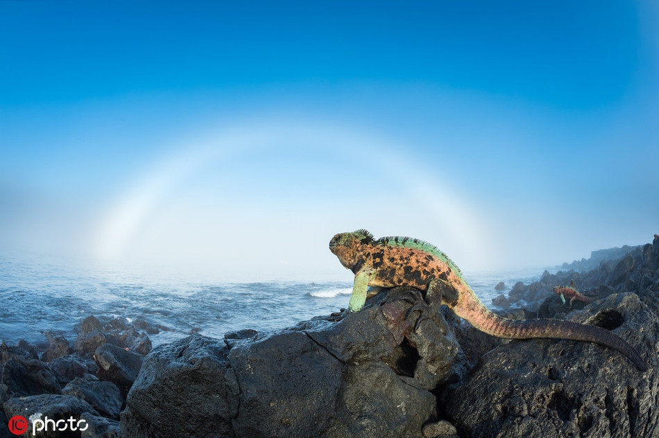 Được biết, sự biến đổi khí hậu toàn cầu vẫn đang tiếp tục, tần suất hiện tượng El nino xuất hiện tăng lên.