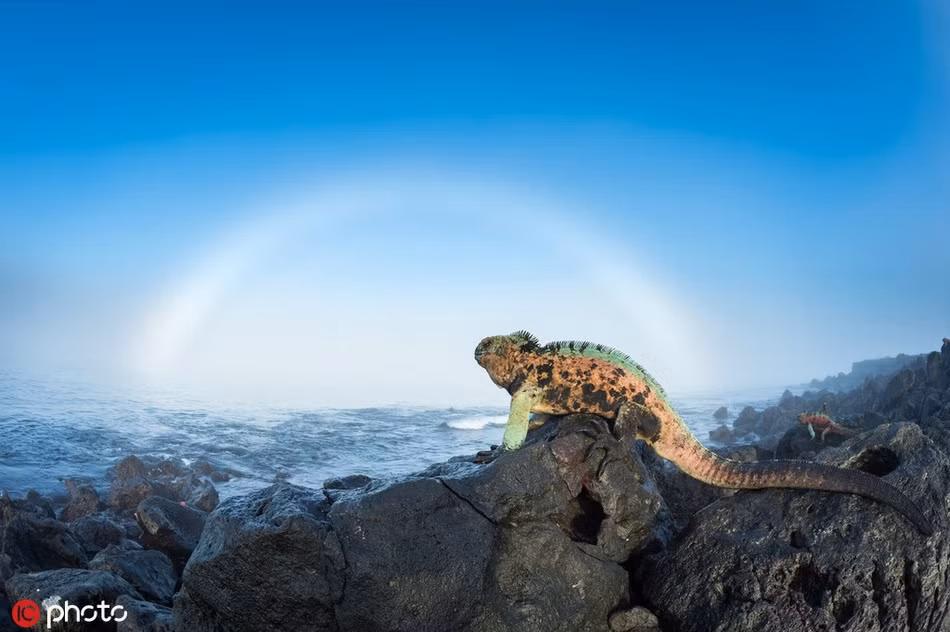 Được biết, sự biến đổi khí hậu toàn cầu vẫn đang tiếp tục, tần suất hiện tượng El nino xuất hiện tăng lên.