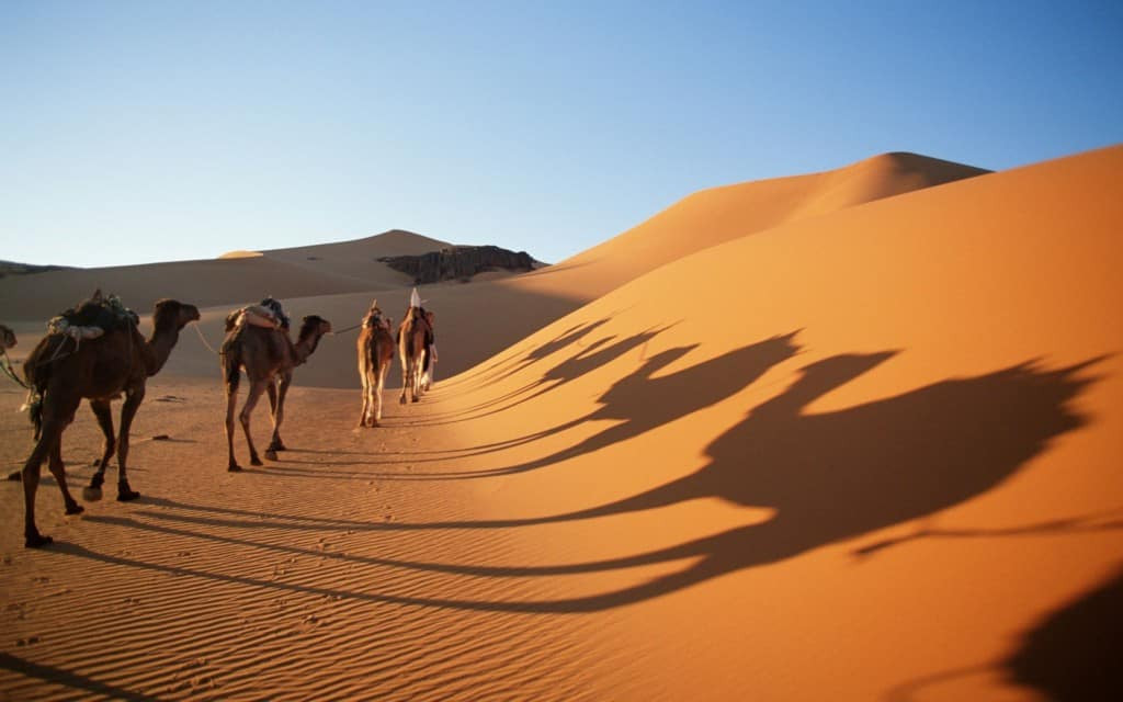  Sa mạc Sahara cực lớn, nó lớn đến nỗi nó chiều dài của nó lớn hơn cả chiều dài giữa thành phố New York và Los Angeles, Mỹ.