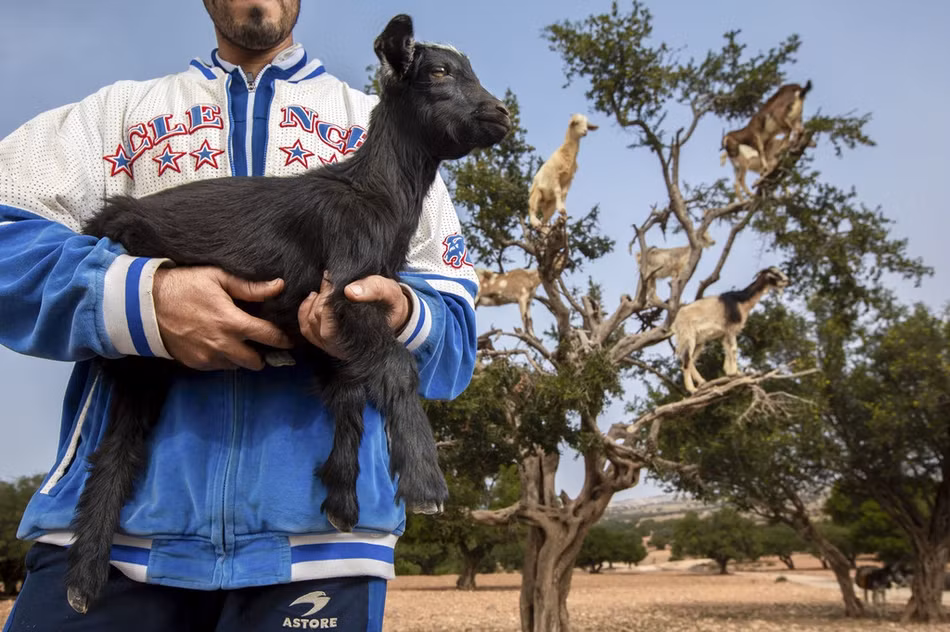 Aaron Gekoski, một nhiếp ảnh gia 38 tuổi là người đã dấn thân vào thực tế để điều tra sự việc này.