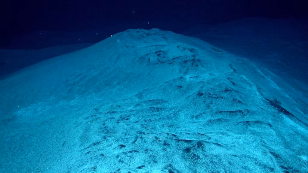 Nhiều người cho rằng đáy biển hiếm khi có sinh vật sinh sống. Điều đó thực sự không đúng, vì đáy đại dương sâu thẳm chứa đầy những vi khuẩn nhỏ bé sống và phát triển ở đó. Trên thực tế, đáy đại dương sâu thẳm chứa vi khuẩn gấp 3-4 lần so với các vùng nước khác.