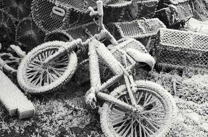 Đầu năm 2002, một cặp sinh đôi 70 tuổi đã chết cùng một ngày ở Raahe, Phần Lan. Hai người đàn ông này đều bị xe tải đâm khi đang đạp xe và cách nhau chỉ 2 giờ đồng hồ tại 2 địa điểm tai nạn cách nhau gần 2km.