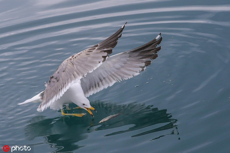 Doc dao mong bien san ca nhay khong khac gi dai bang