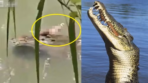 Nhin ca sau boi nhan nha, bong phat hien chuyen ron nguoi